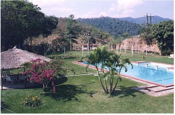 p1.jpg (51807 bytes)